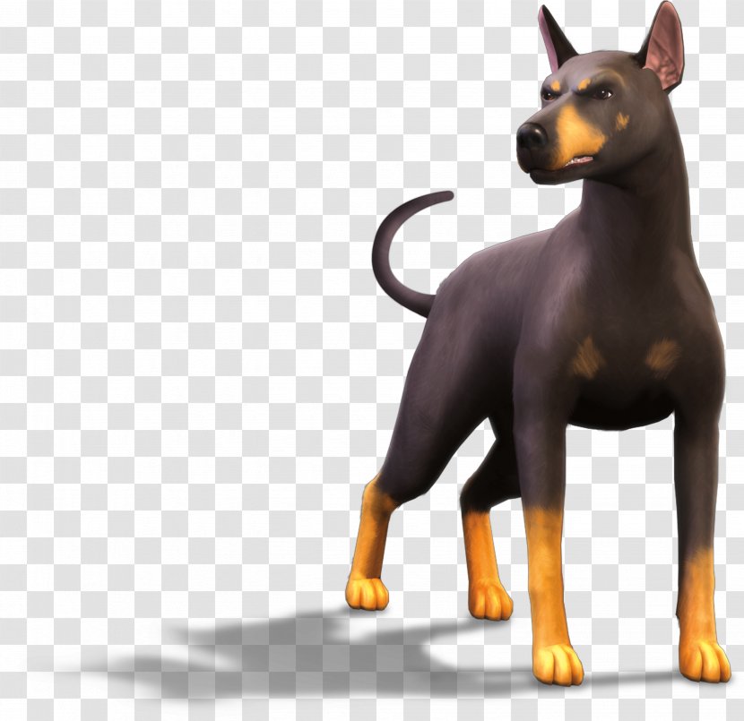 The Sims 3: Pets 2: Manchester Terrier 4: Cats & Dogs Miniature Pinscher Transparent PNG