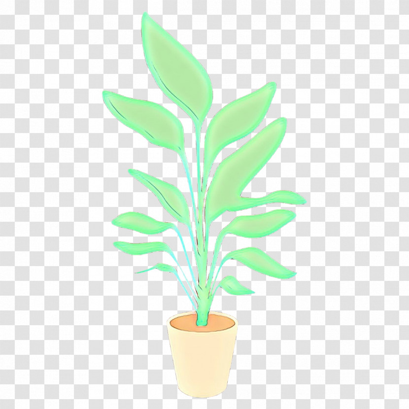 Flowerpot Leaf Houseplant Green Plant Transparent PNG