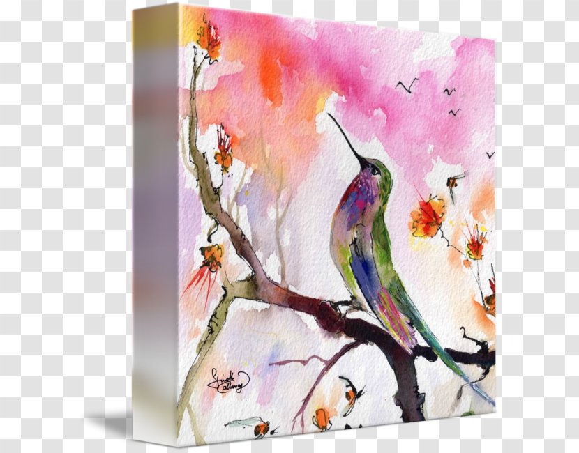 Watercolor Painting Hummingbird Fine Art Transparent PNG