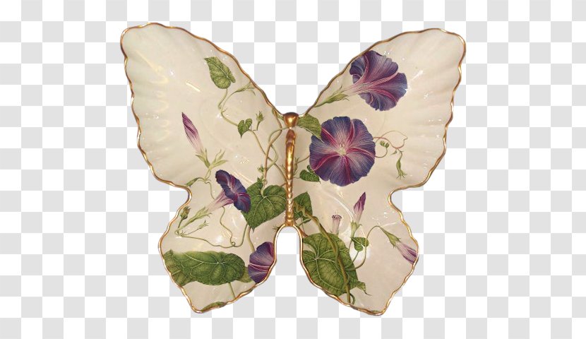 Common Morning-glory Morning Glory Vine Botany Beach Moonflower - Invertebrate - Romantic Butterfly Transparent PNG