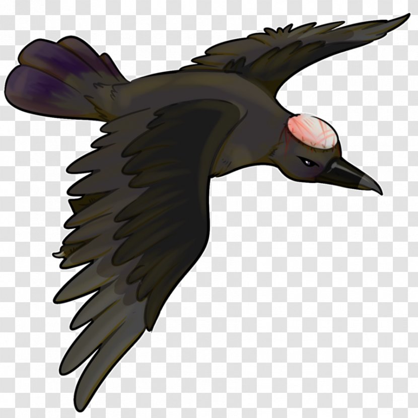 Fauna Water Bird Beak Feather Transparent PNG
