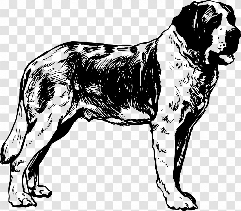St. Bernard Drawing Clip Art - Bulldog Clipart Transparent PNG