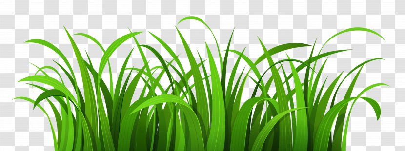 Lawn Clip Art - Grass - Easter Cliparts Transparent PNG