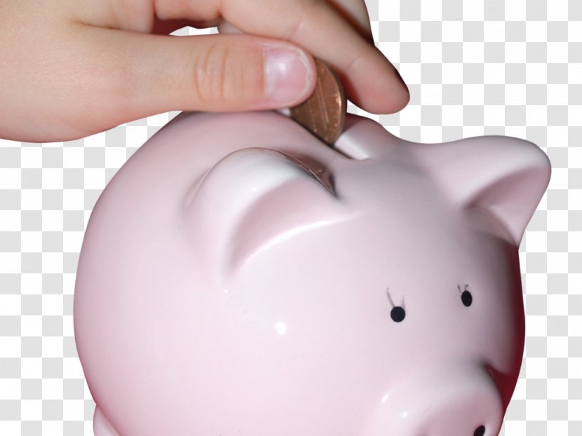 Piggy Bank Savings Money - Cash Transparent PNG