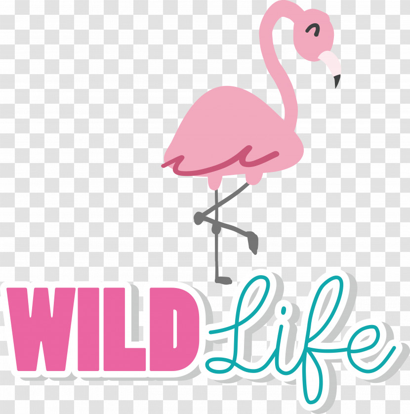 Birds Phoenicopterus Beak Logo Cartoon Transparent PNG