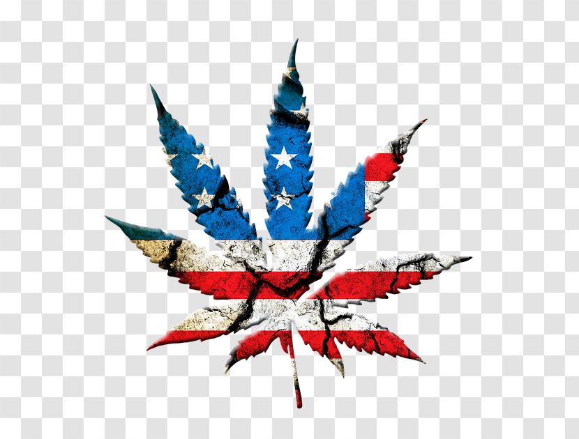 Cannabis Leaf Background - Flag Of The United States - Symmetry Hemp Family Transparent PNG