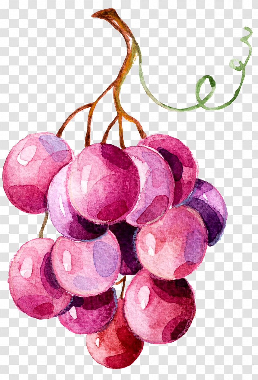 Grape Stock Photography Royalty-free Illustration - Plant - Bunch Of Grapes Transparent PNG