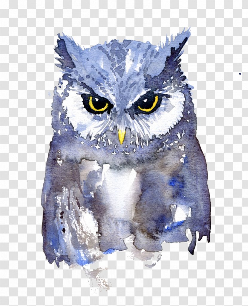Owl Watercolor Painting Art Animals In - Bird Transparent PNG