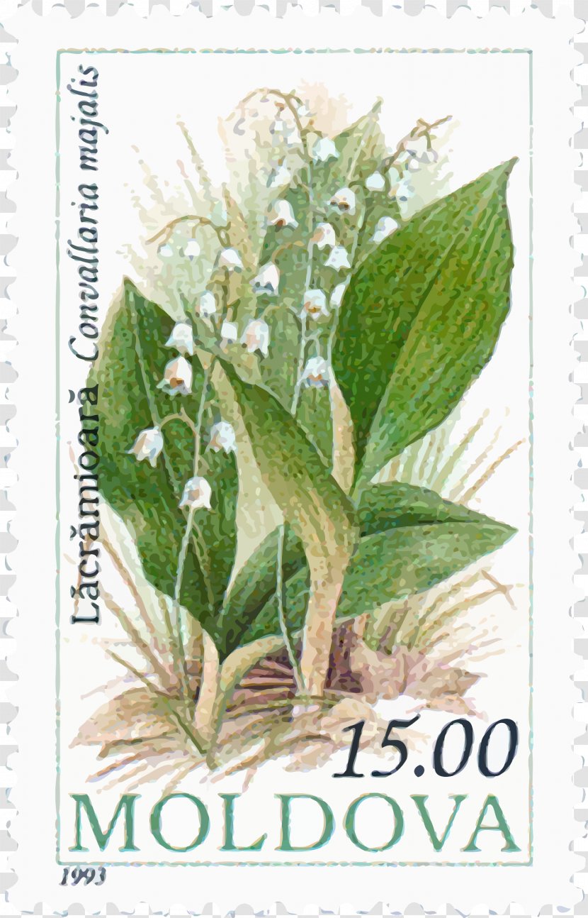 Moldova Postage Stamps Mail Rubber Stamp Collecting - Flag Of - Lily The Valley Transparent PNG