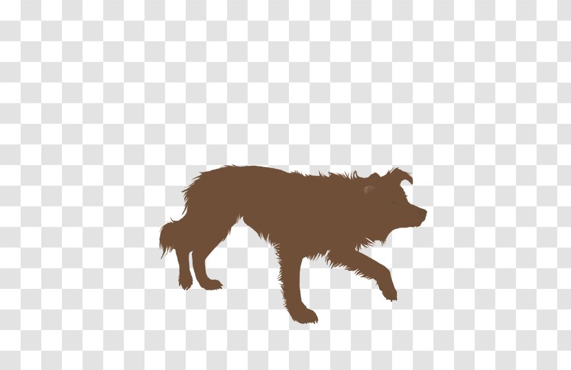 Border Collie Rough Dog Agility Silhouette - Carnivoran - Bordercollie Transparent PNG