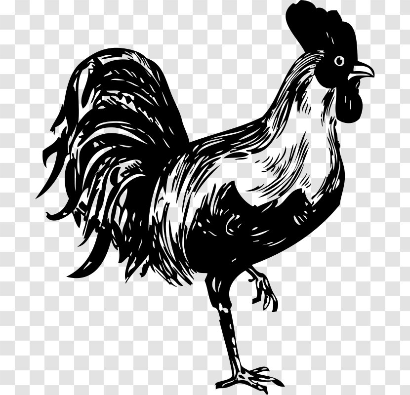 Chicken Rooster Clip Art - Drawing - Illustration Transparent PNG