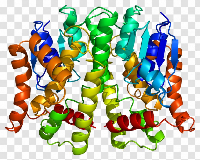 Glutathione S-transferase Mu 1 GSTT2 GSTT1 - Transferase - Protein Transparent PNG