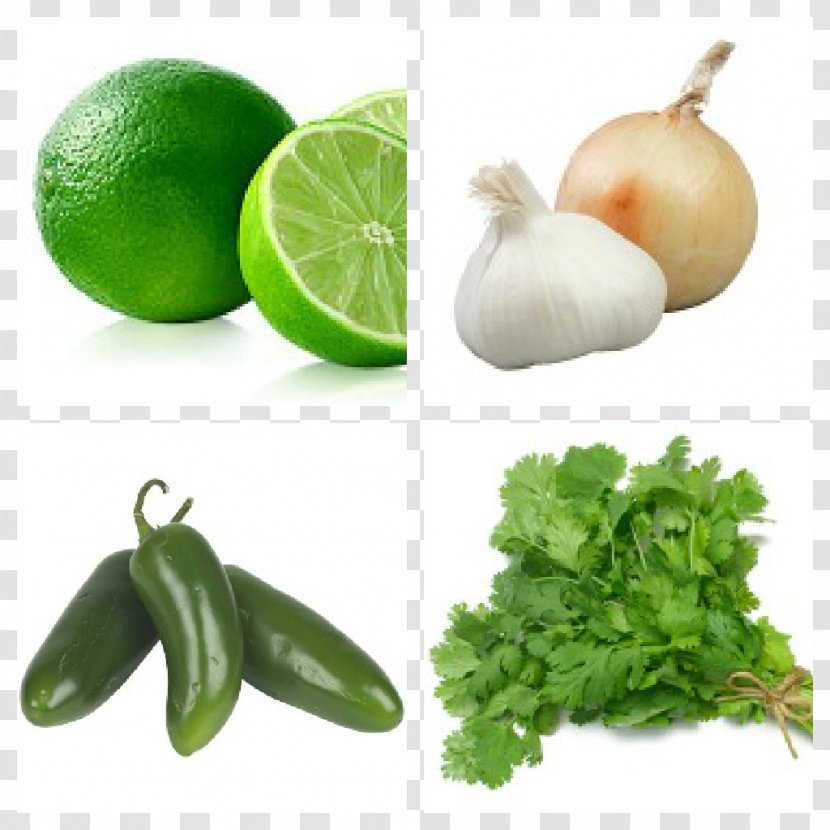 Coriander Indian Cuisine Organic Food Thai Herb - Lime Transparent PNG