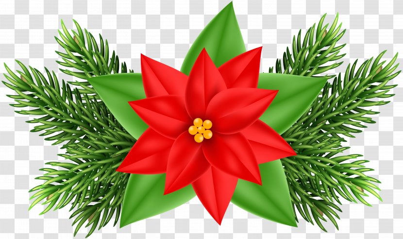Christmas Ornament Poinsettia Tree Clip Art - Pine Family - Clipart Transparent PNG