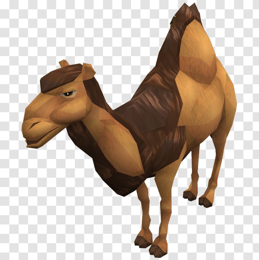 RuneScape Dromedary Horse Pack Animal - Like Mammal - Camel Transparent PNG