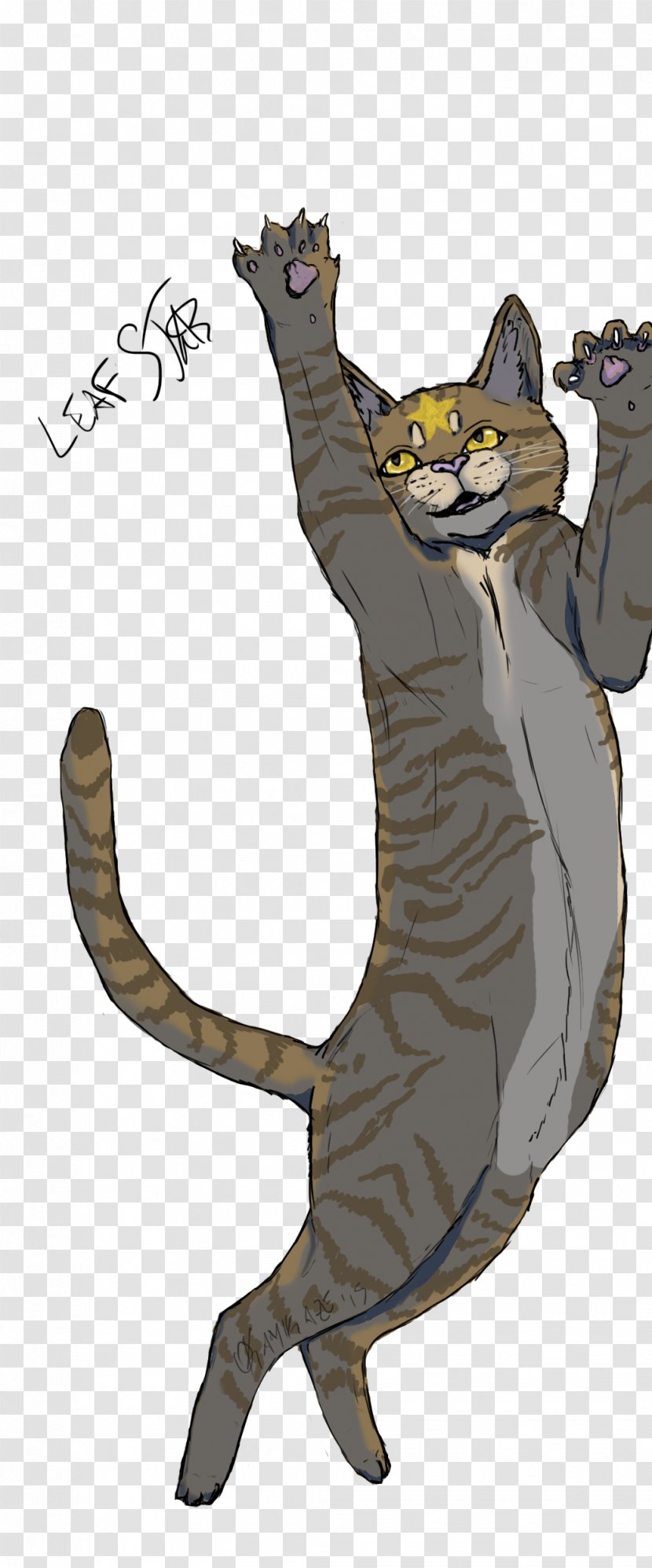 Cat Claw Paw Cartoon - Vertebrate Transparent PNG