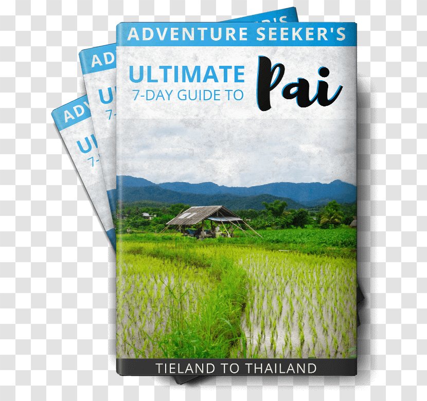 Ko Chang District Pai Thai Cuisine Trekking Rafting - Advertising - Bamboo Rice Transparent PNG