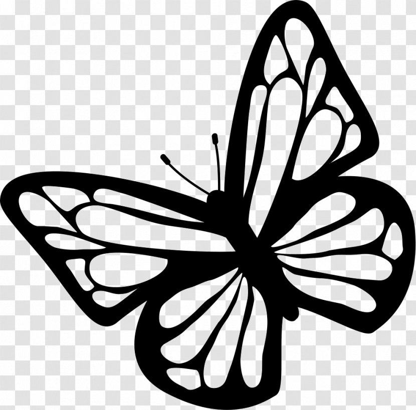 Slabs Vector - Plant - Butterfly Transparent PNG