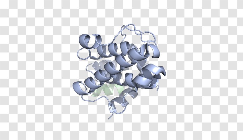 Product Design Font Angle - Hardware Accessory - Cytoskeleton Motor Proteins Transparent PNG