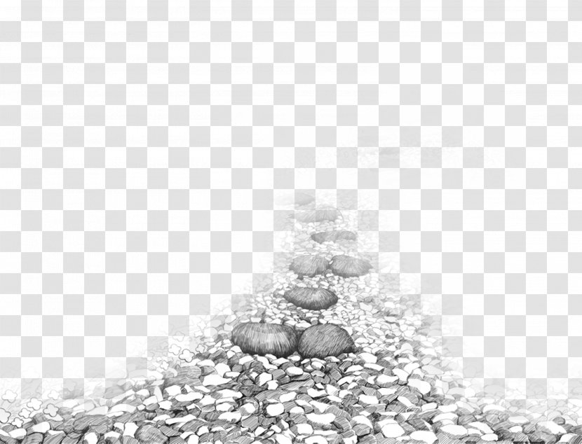 Black And White Drawing Computer File - Photography - Stone Road Transparent PNG