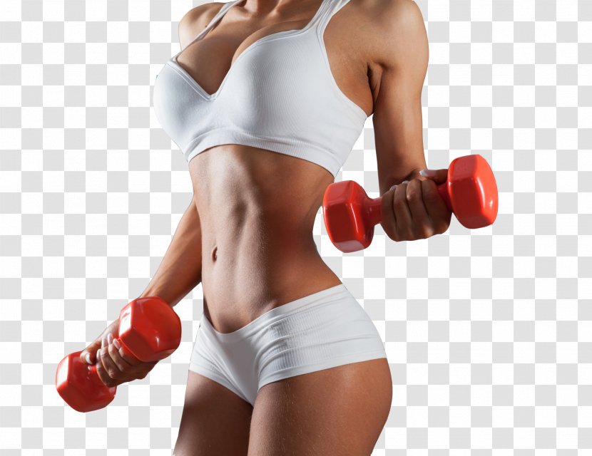 Bodybuilding Physical Fitness Exercise Dumbbell Barbell - Frame - Girls Holding Transparent PNG