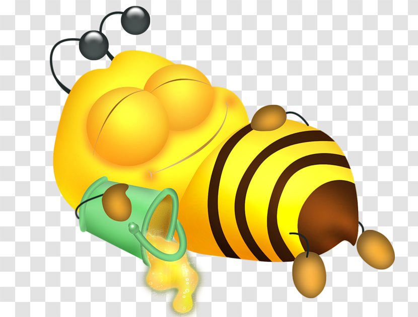 Honey Bee Insect Clip Art - Drawing - Sleeping Transparent PNG