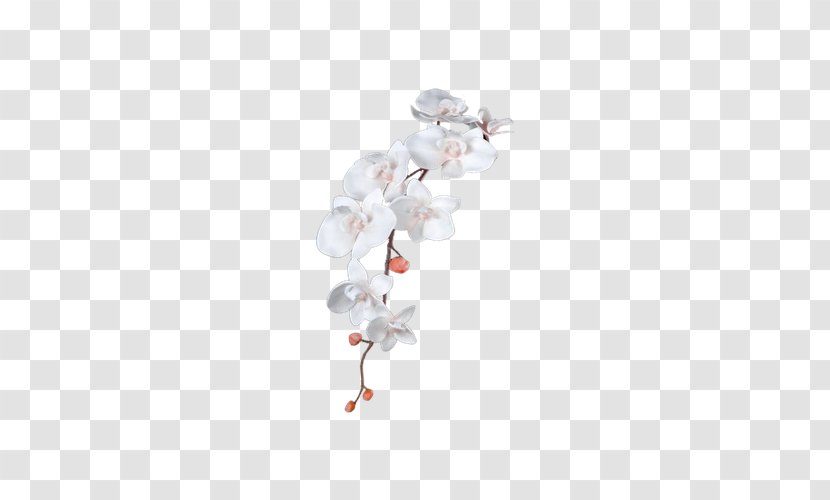 Flower Leaf - Creative Market - White Pear Decorative Branches Transparent PNG