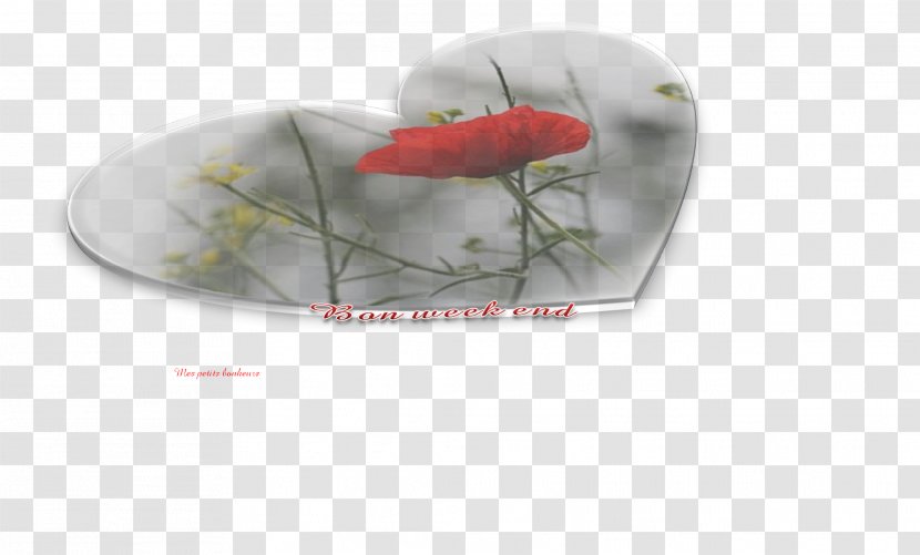 Organism - End Page Transparent PNG