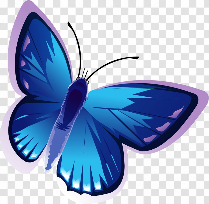 Butterfly Albom Clip Art - Invertebrate - Fly Transparent PNG