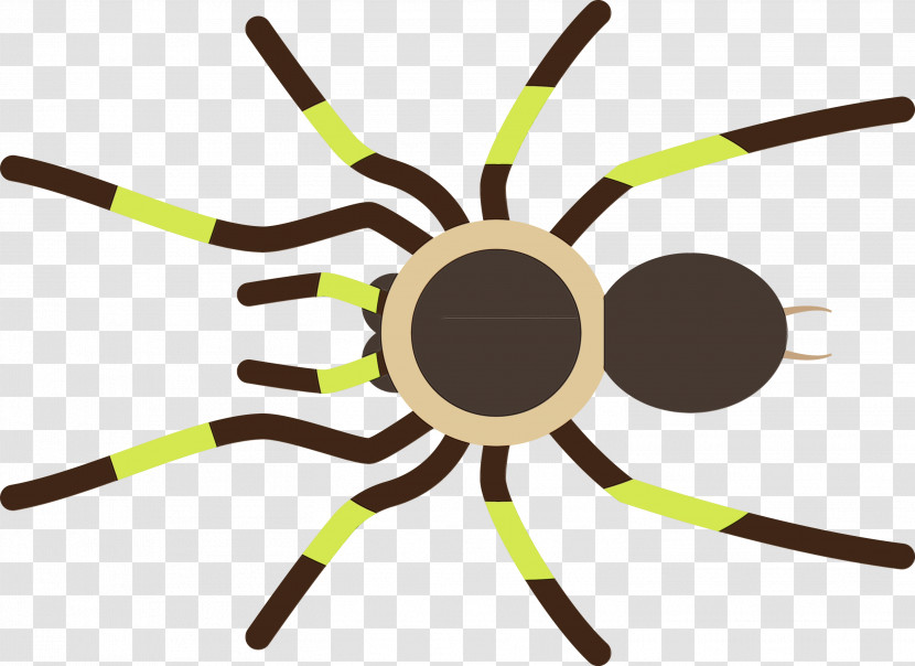 Insect Yellow Line Transparent PNG