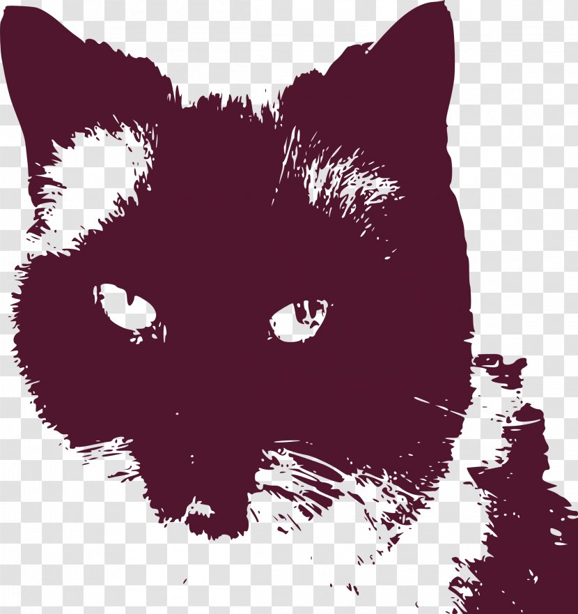 Black Cat Kitten Persian Whiskers - Color Transparent PNG