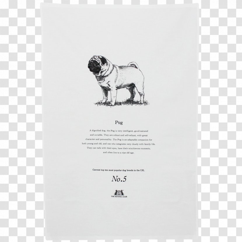 Pug Dog Breed Toy The Kennel Club Crufts - Sausage In Bags Transparent PNG