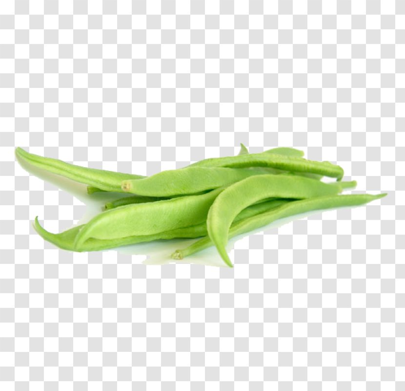 Green Bean Vegetable Flat Transparent PNG