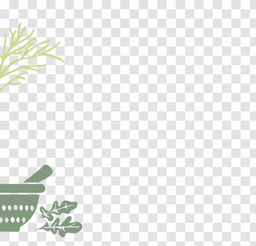 Desktop Wallpaper Brand Leaf Plant Stem - Tree Transparent PNG