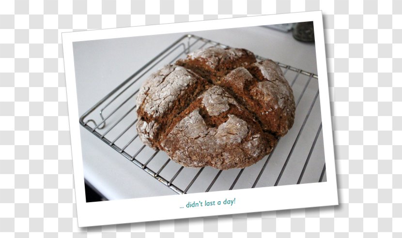 Biscuits Cookie M Recipe - Chocolate Brownie - Bread Crumb Transparent PNG