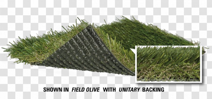 Artificial Turf Lawn Sod National City Athletics Field - Thatching - Stadium Grass Transparent PNG
