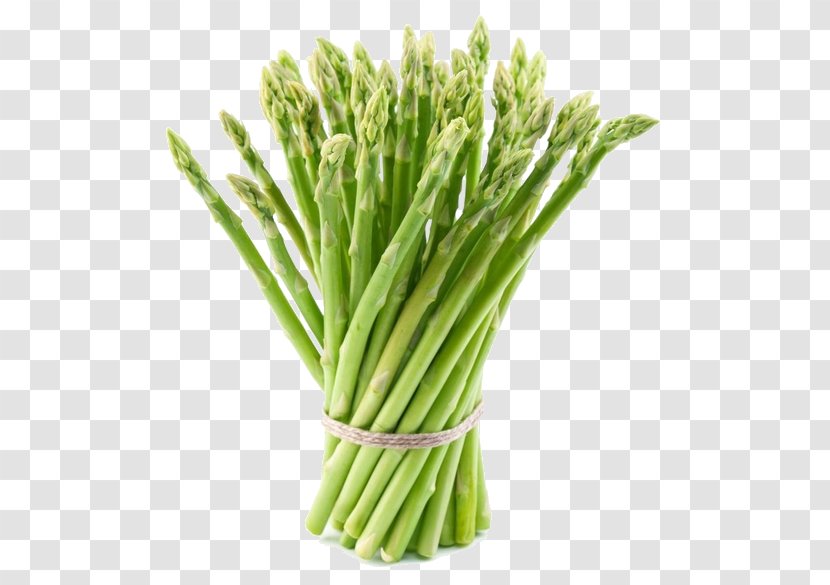 Asparagus Mary Washington Vegetarian Cuisine Vegetable Roots - Cooking - Common Edible Weeds Transparent PNG