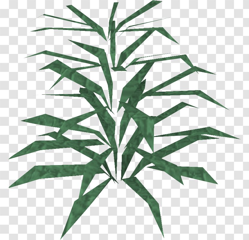 RuneScape Rosemary Plant Disease Agriculture Cabbage - Pathology - Runescape Classic Wiki Transparent PNG