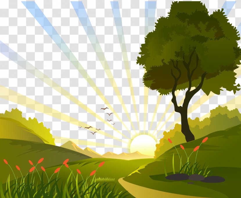 Euclidean Vector Clip Art - Meadow - Sunrise In The Field Illustration Transparent PNG