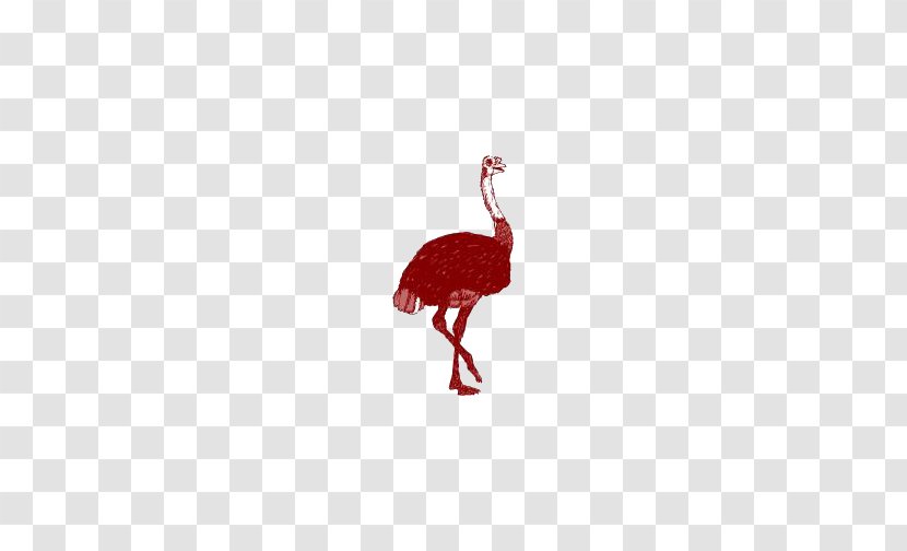 Flightless Bird Red Beak Pattern - Pink - Ostrich Transparent PNG
