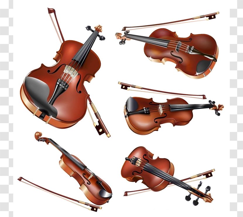 Violin Musical Instruments Vector Graphics Image - Flower Transparent PNG