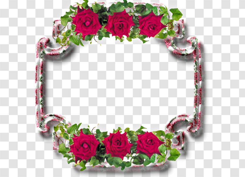 Rose Picture Frames Floral Design Flower Photography - Headpiece - Jewellery Transparent PNG