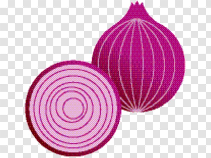 Onion Cartoon - Pink - Plant Allium Transparent PNG