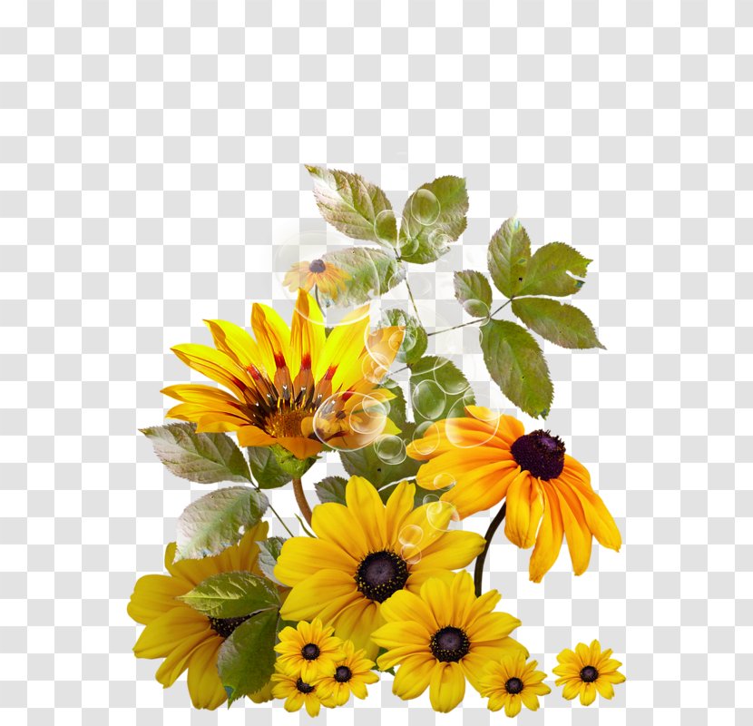 Clip Art - Floral Design - Mixed Chrysanthemum Transparent PNG