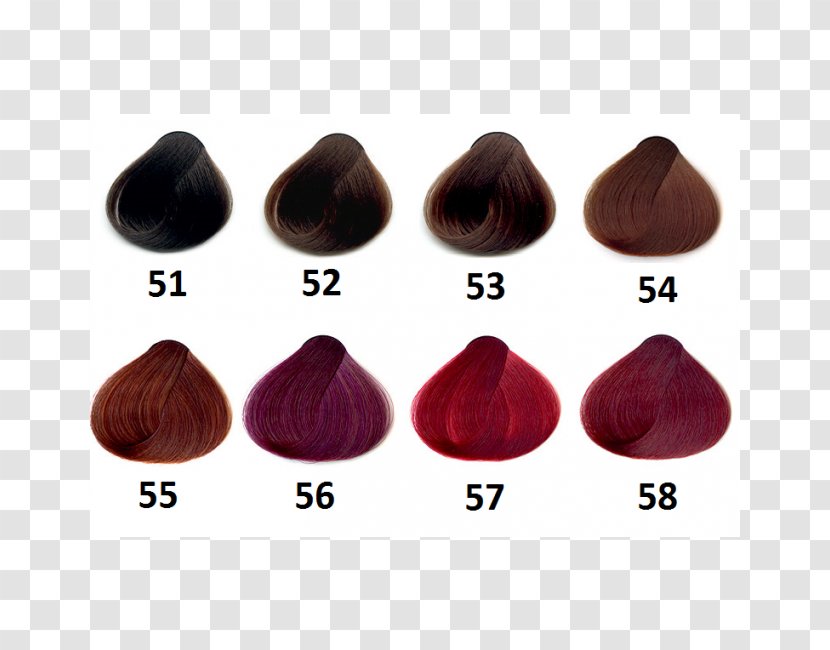 Hair Coloring Human Color Palette - Cosmetics Transparent PNG