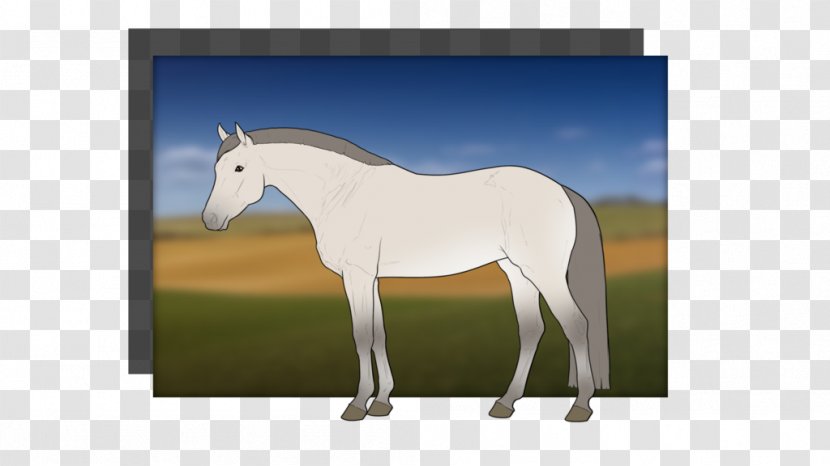 Stallion Mustang Foal Mare Colt - Grey Horse Transparent PNG
