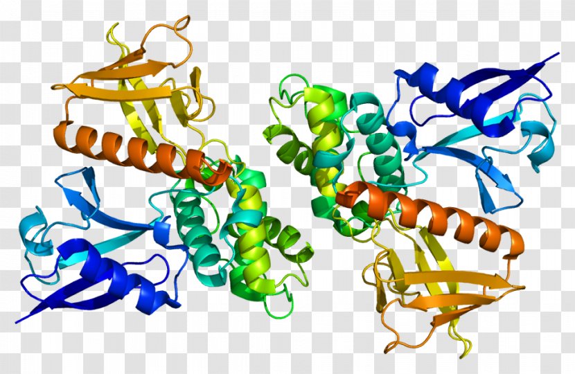 Merlin Neurofibromatosis Type II ERM Protein Family Tumor Suppressor Gene - Ferm Domain - Ribbon Pattern Transparent PNG