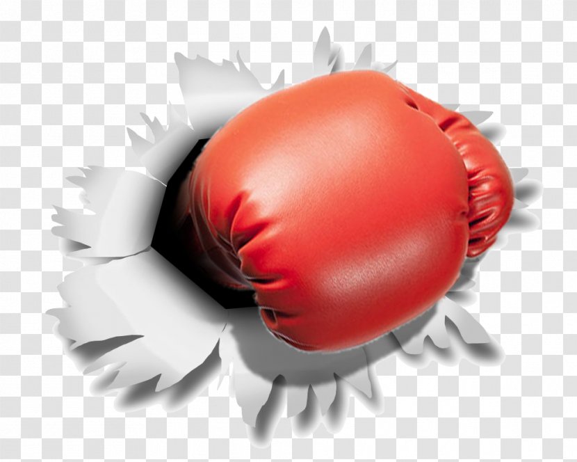 Boxing Glove Punching & Training Bags - Cross - Gloves Transparent PNG