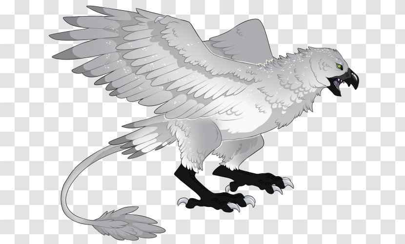 Eagle Fauna Vulture Wildlife Beak - Animal Figure Transparent PNG