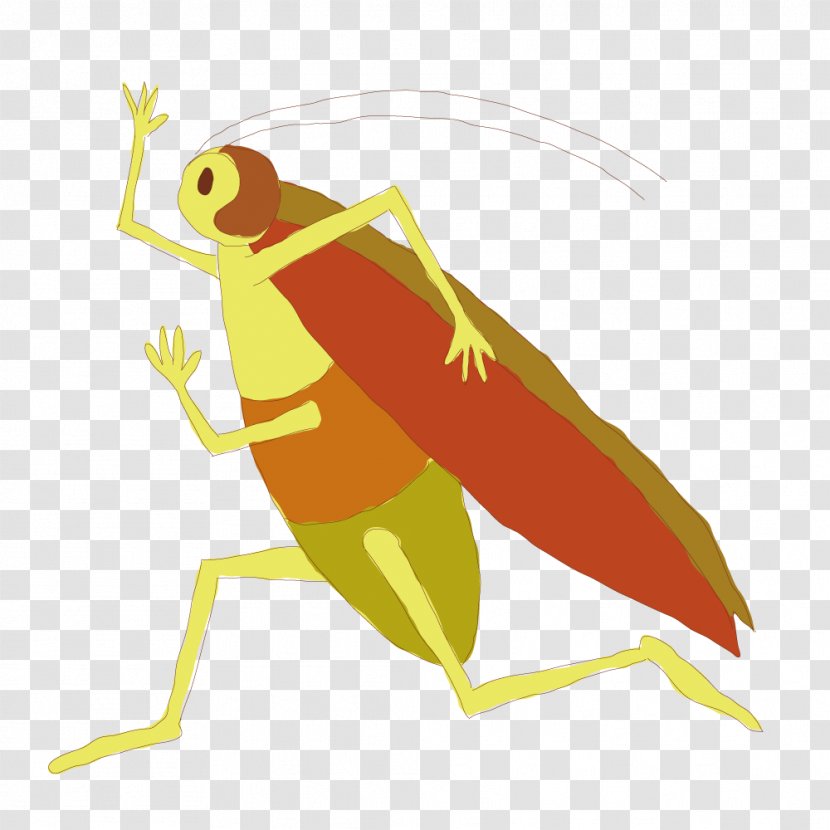 Cartoon Caelifera Illustration - Organism - Standing Grasshoppers Transparent PNG